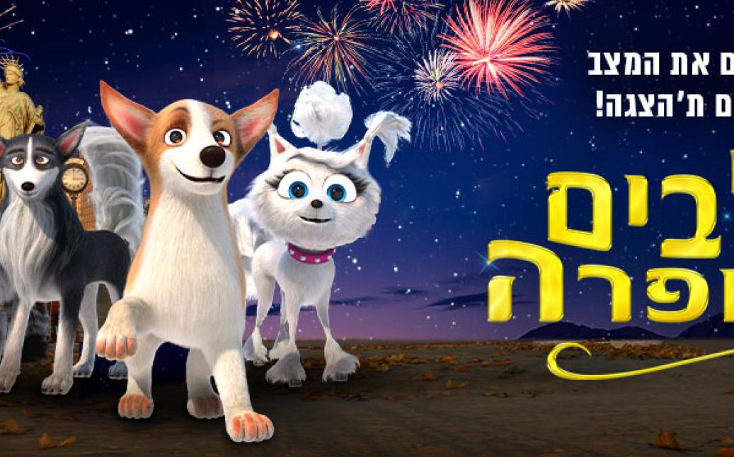 ר